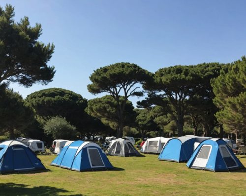 Découvrez les Top Emplacements de Camping Près des Sables-d’Olonne pour des Vacances au Grand Air